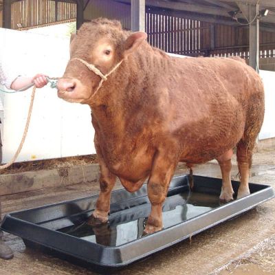 Agricultural Water Trays & Footbaths